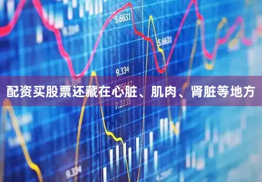 配资买股票还藏在心脏、肌肉、肾脏等地方